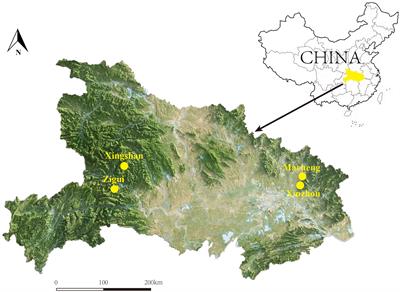 Survey of Rickettsia species in hematophagous arthropods from endemic areas for Japanese spotted fever in China
